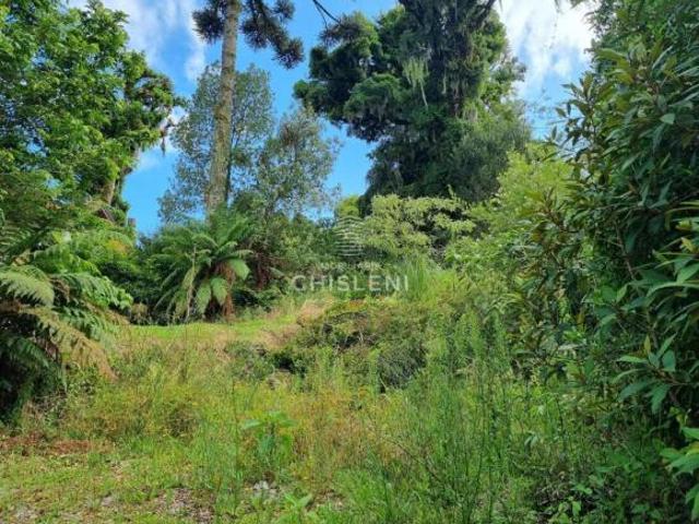 Terreno venda em Região Geográfica Imediata de Caxias do Sul, Canela