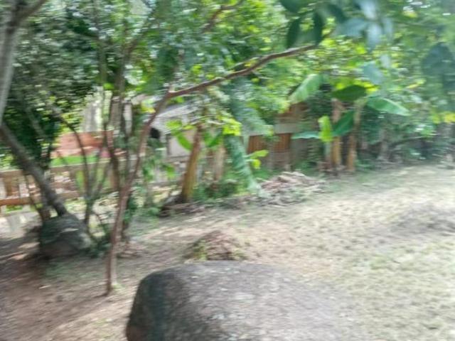 Terreno venda em Região Geográfica Imediata de Porto Alegre, Região Metropolitana de Porto Alegre
