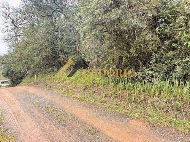 Terreno venda em Região Geográfica Imediata de Curitiba, Região Metropolitana de Curitiba