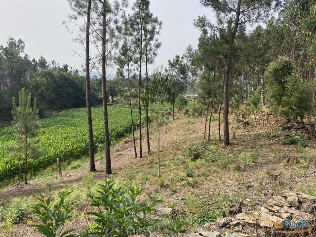 Terreno venda em Gavião, Braga