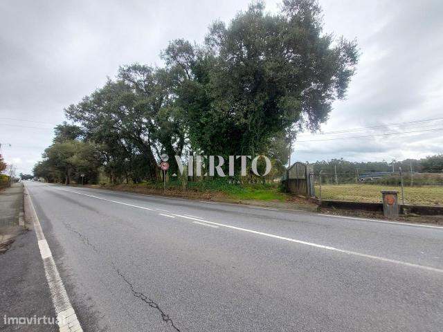 Terreno alugar em Braga, Macieira de Rates