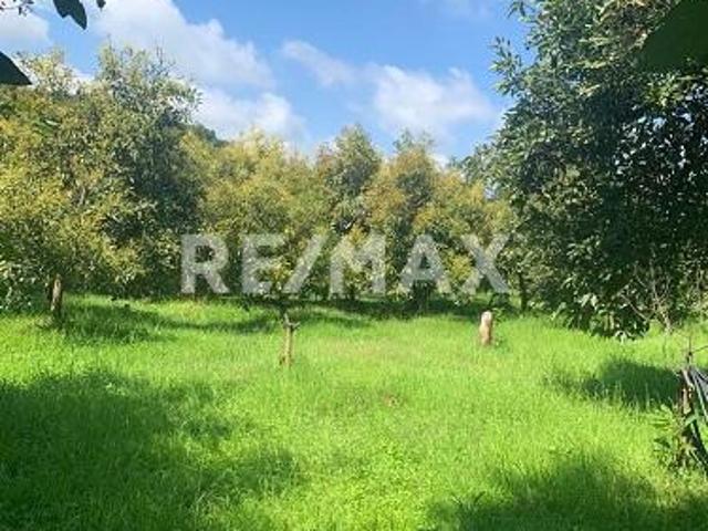 Terreno en venta en Uruapan, Michoacán