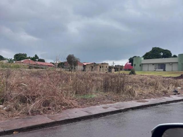 Terreno venda em Região Geográfica Imediata de Apucarana, Bom Sucesso