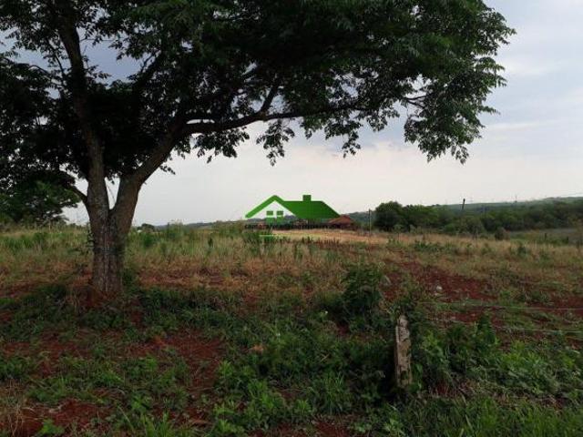 Terreno venda em Região Geográfica Imediata de Santo Ângelo, Santo Angelo