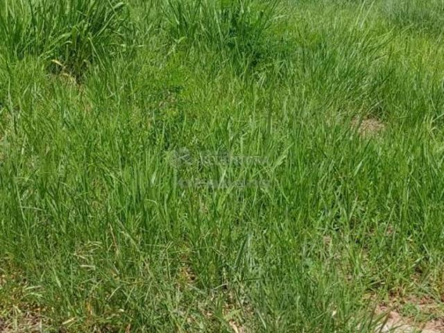 Terreno venda em Região Imediata de São José do Rio Preto, Região Metropolitana de São José do Rio Preto