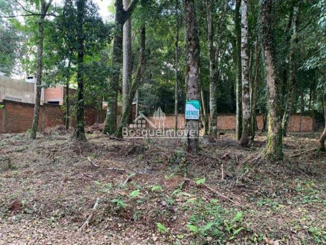 Terreno venda em Região Geográfica Imediata de Passo Fundo, Passo Fundo