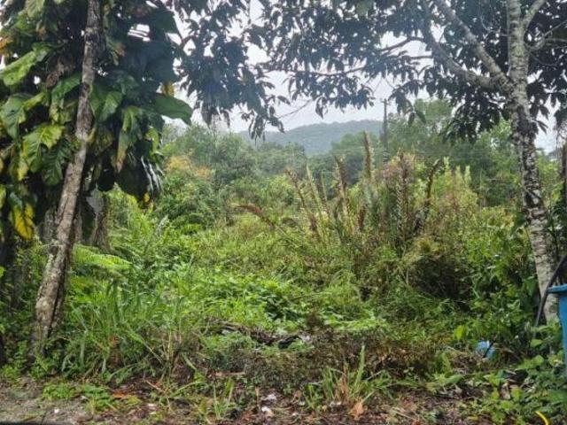 Terreno venda em Região Imediata de Santos, Região Metropolitana da Baixada Santista