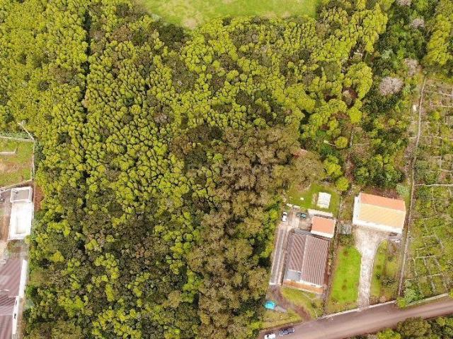 Terreno venda em Açores, Porto Martins