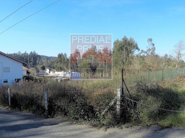 Terreno venda em Ouriçosa, Oliveira De Azeméis