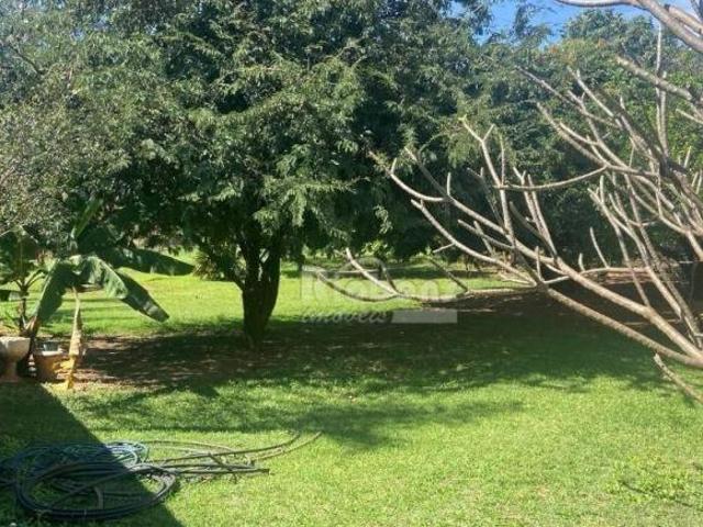 Terreno venda em Cedral