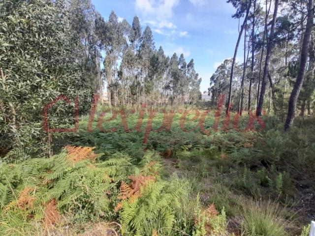 Terreno venda em Fermentelos, Águeda