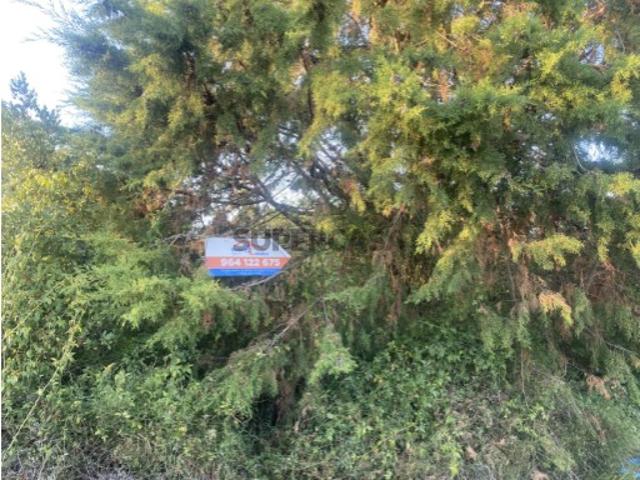 Terreno venda em Óbidos, Leiria