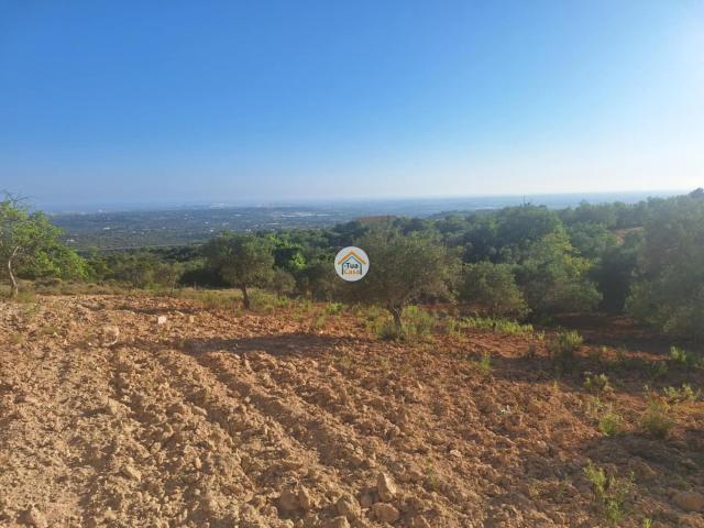 Terreno venda em Faro