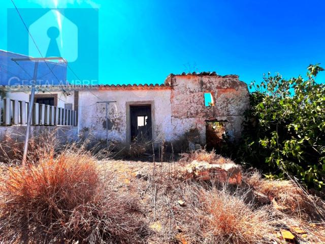 Terreno venda em Guia, Quinta dos Álamos