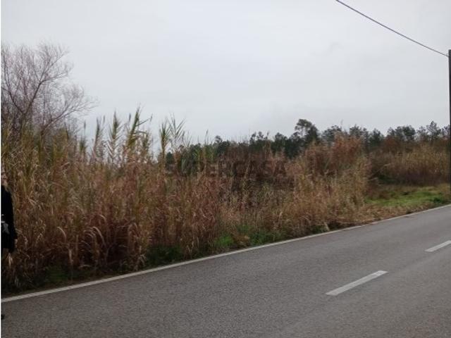 Terreno venda em Marinha Grande, Leiria