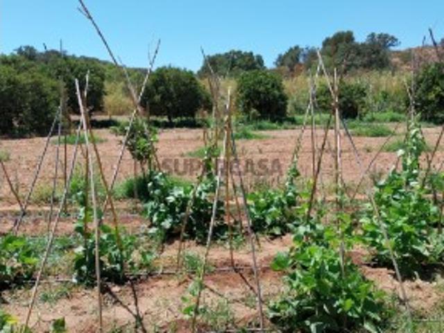 Terreno venda em Castro Marim, Faro