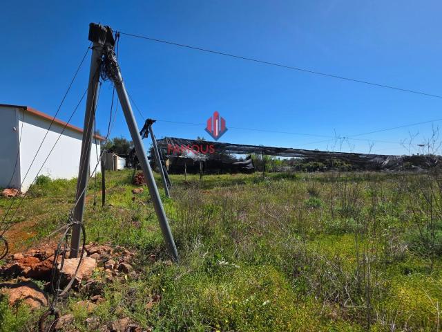 Terreno venda em São Bartolomeu De Messines, Faro