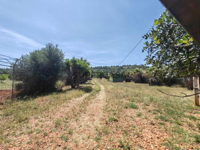 Terreno venda em Albufeira, Faro