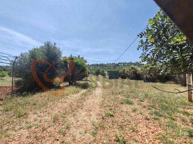 Terreno venda em Albufeira, Faro