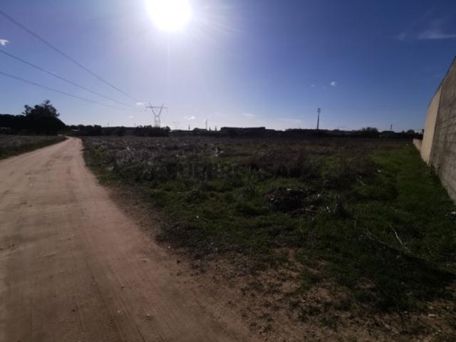 Terreno venda em Benavente, Santarém