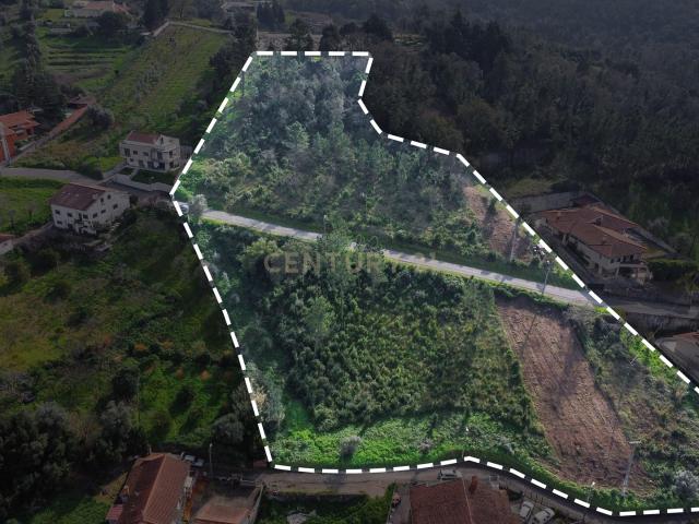 Terreno venda em Coimbrã, Coimbra