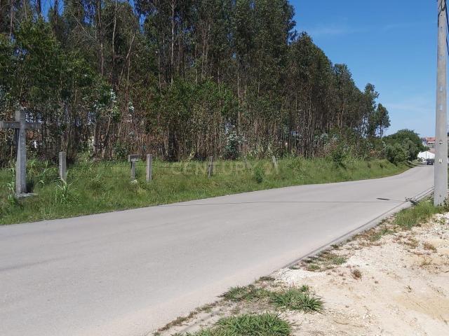 Terreno venda em Leiria