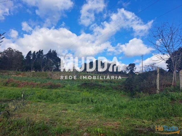 Terreno venda em Oliveira De Azeméis, Aveiro