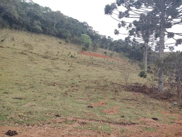 Fazenda venda em Região Geográfica Imediata de Itajubá, Sapucaí-Mirim