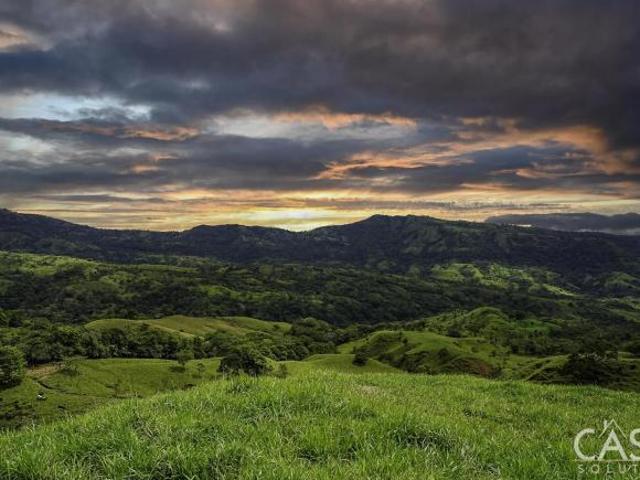 Excelentes Lotes con Buenas Vistas en Venta en Gualaca, Chiriquí