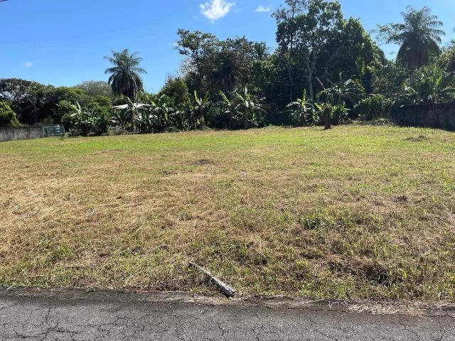 Terreno venta en David