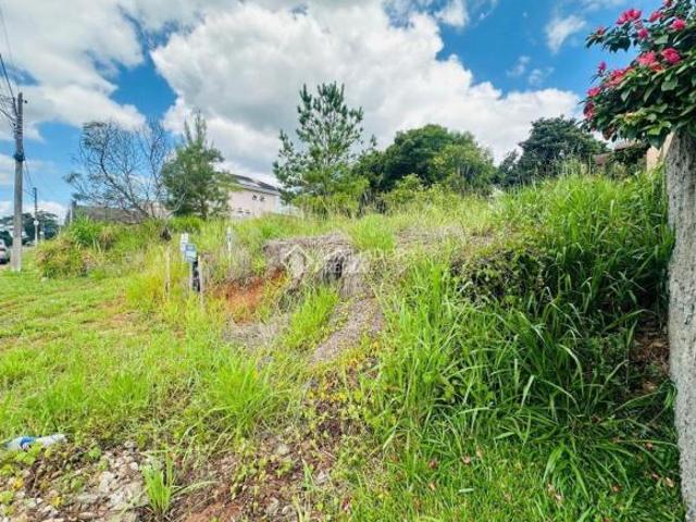 Terreno venda em Região Geográfica Imediata de Novo Hamburgo - São Leopoldo, Região Metropolitana de Porto Alegre