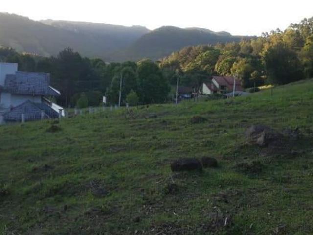 Terreno venda em Picada Café