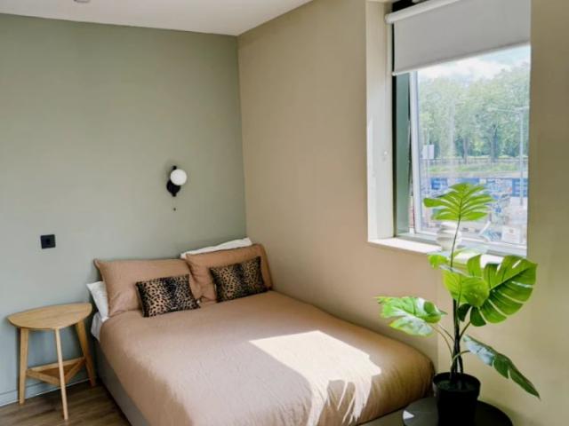 Studio for rent in Norbiton, Greater London