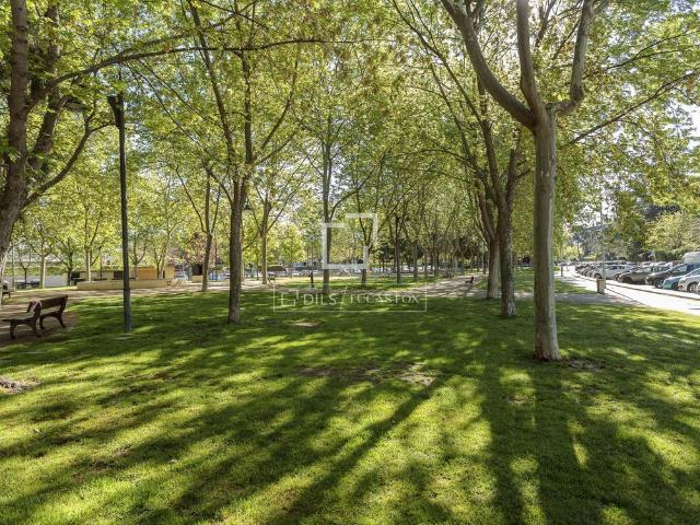 Apartamento en alquiler en Monte del Pilar, Majadahonda