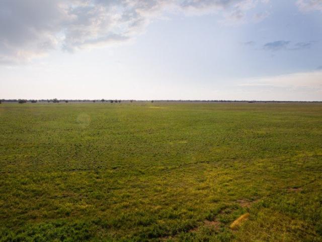 Property for sale in Burcher, New South Wales