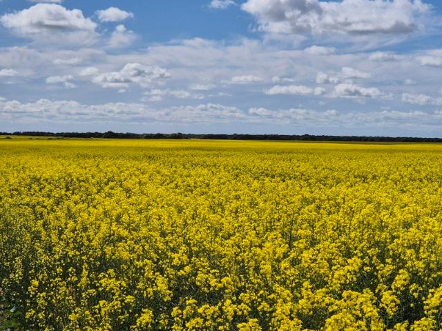 Property for sale in Munglinup, Western Australia