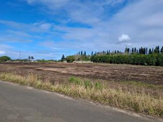 Land for rent in UMhlathuze Municipality, Kwazulu-natal