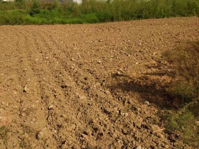 Land for sale in I-14/4, اسلام آباد