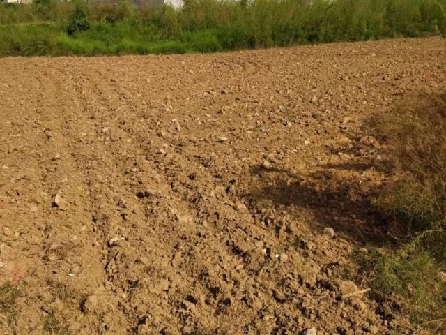 Land for sale in Islamabad