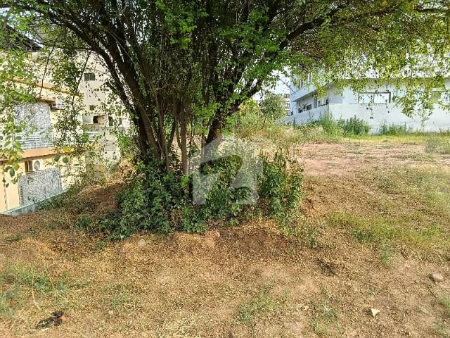 Property for sale in Islamabad