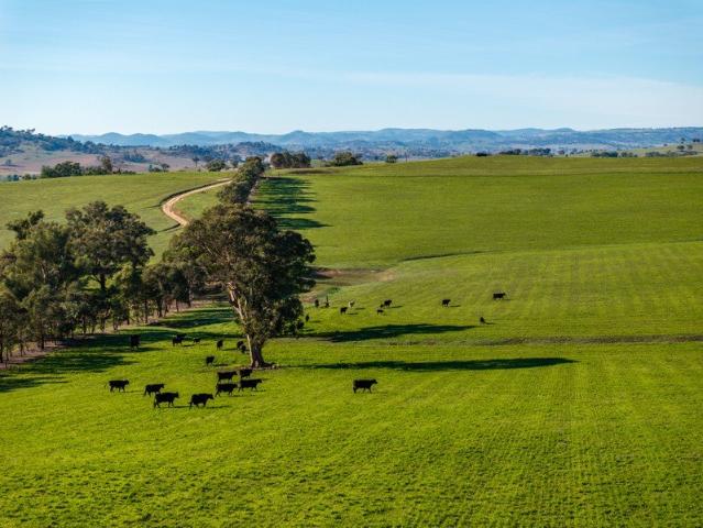 Cottage for sale in New South Wales