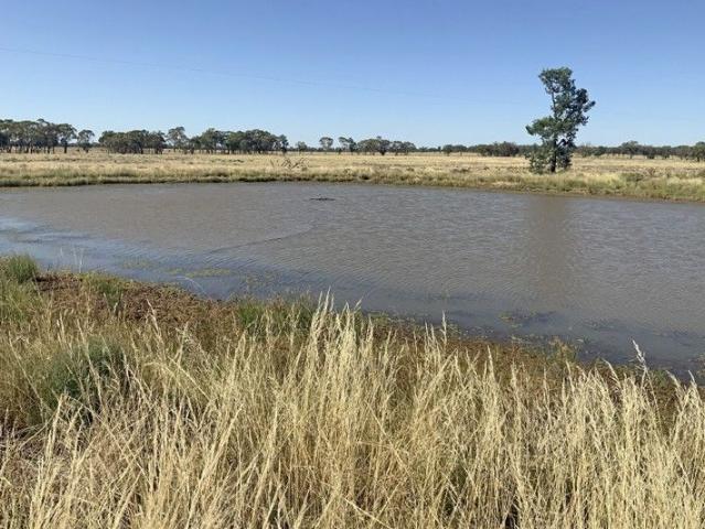 Cottage for sale in Tullamore, New South Wales