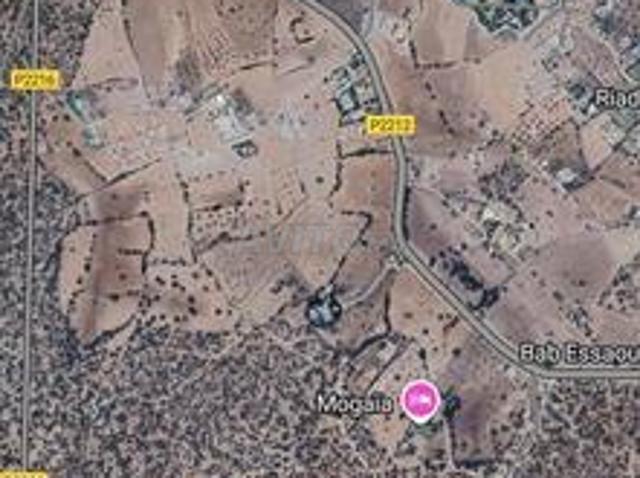 Propriété vente à Essaouira, L'Oriental