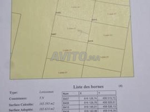 Propriété vente à Ben Slimane