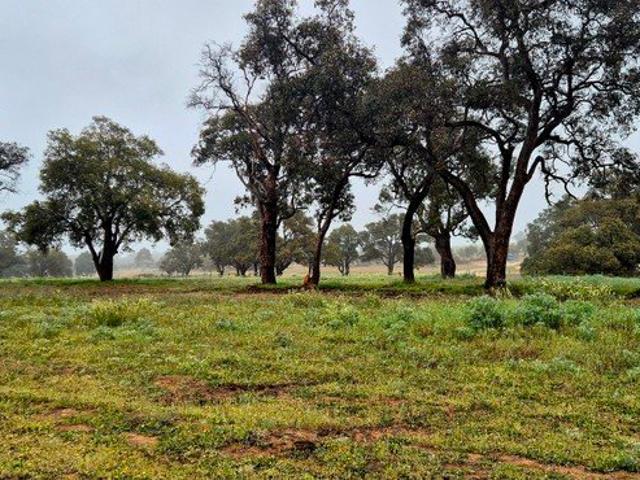 Land for sale in Ginginup, Western Australia