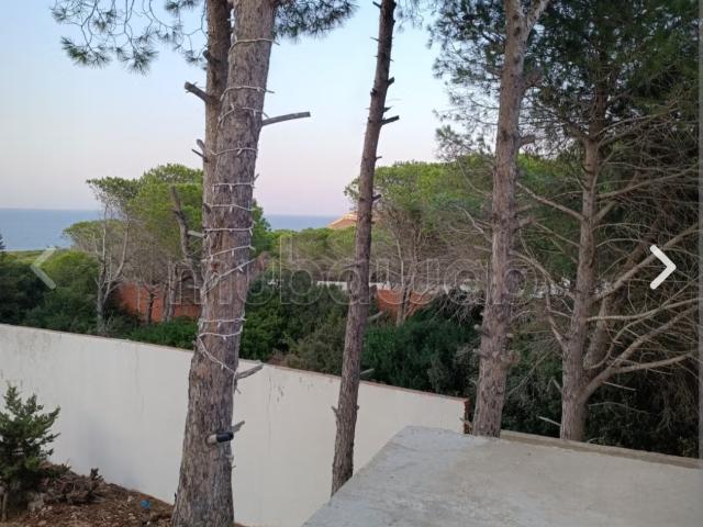 Terrain vente à Bizerte, Bizerte Nord
