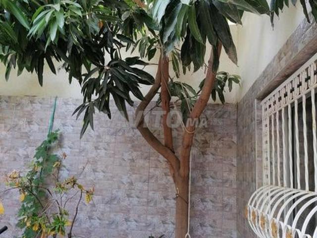 Propriété vente à Sidi Qacem