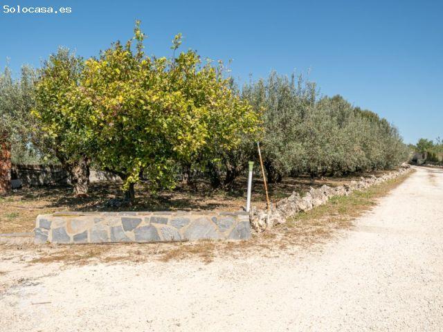 Casa en venta en la Vall d'Albaida, Valencia