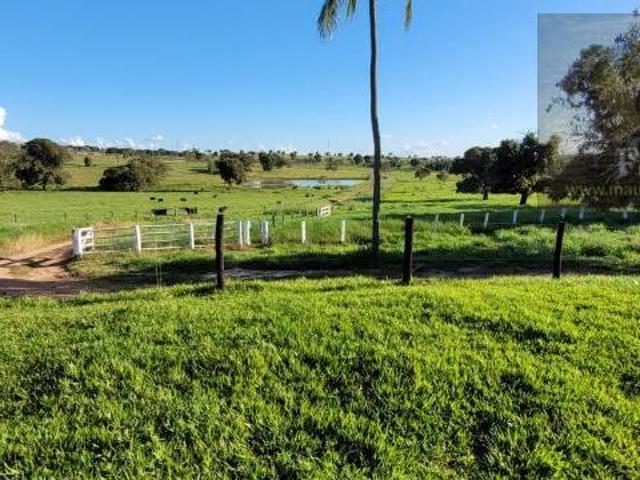 Sitio venda em Miranda