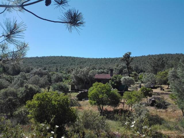 Casa en venta en Serradilla, Extremadura